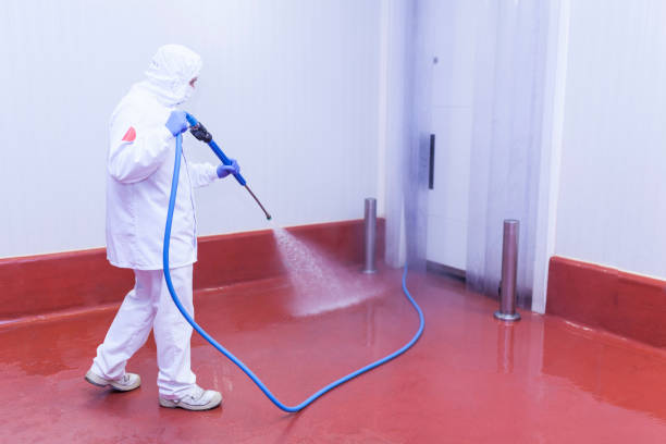 Best Gutter Cleaning  in Strathmore, CA